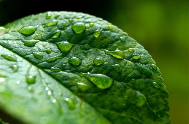 rain testing machine